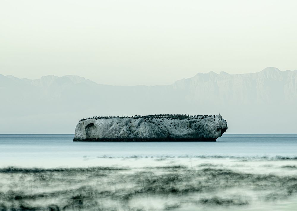 The Arc — Before Time